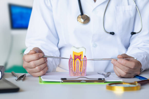 Best Walk-In Emergency Dental Services in Elwood, IN